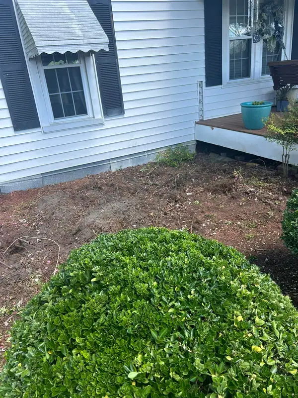 Bed cleared out and ready for fresh mulch