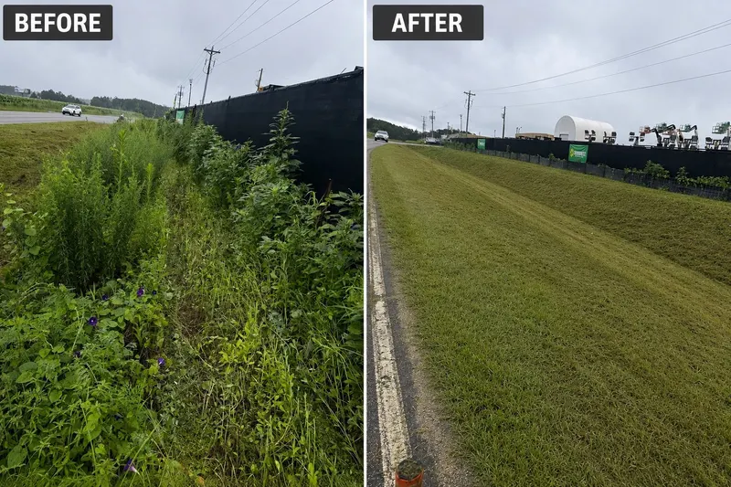 Before and after: an overgrown roadside bank cut back and mowed