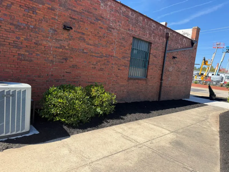Shrubs in a fresh black mulch bed along a brick wall