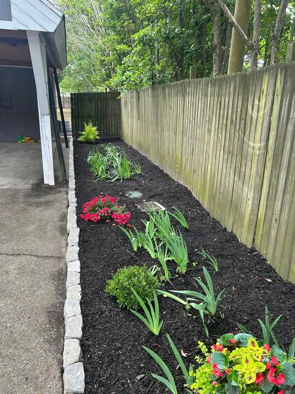Black mulch bed along a wood fence