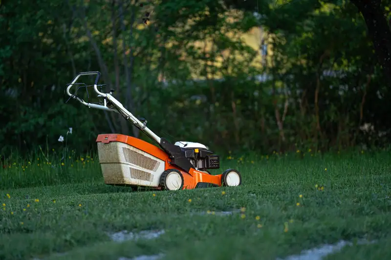 Walk-behind mower on a fresh-cut lawn (representative photo)