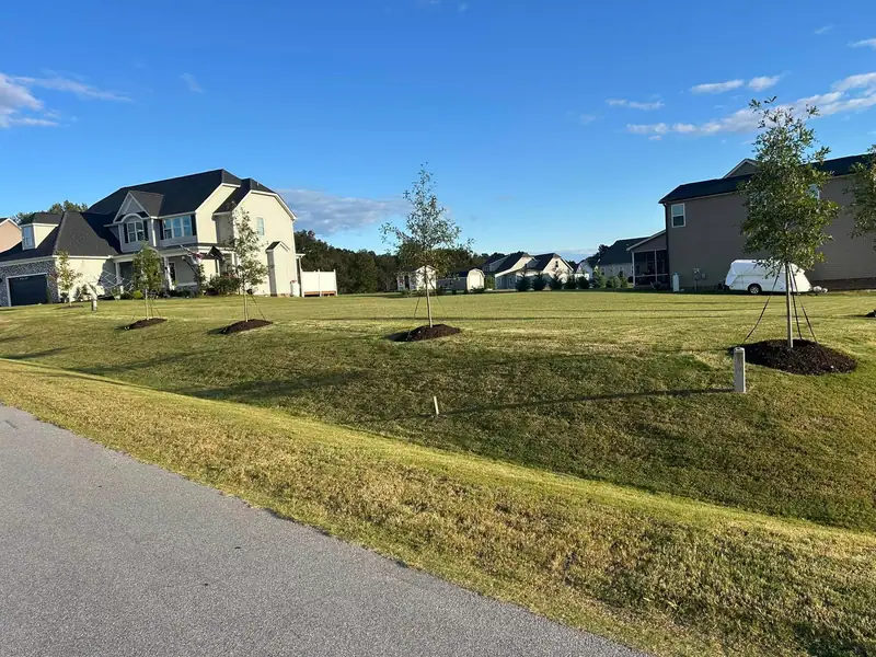 Freshly mowed lawn running through a new neighborhood