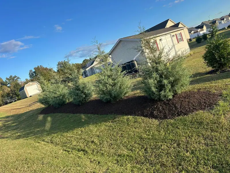 New shrub bed with fresh mulch on a corner lot
