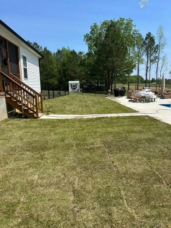 New sod laid across a backyard