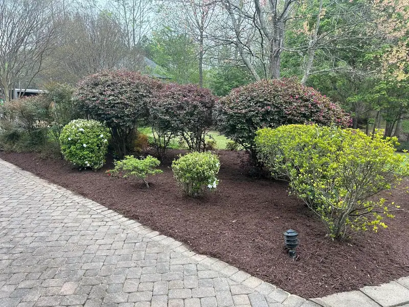 Shrub beds beside a paver walkway