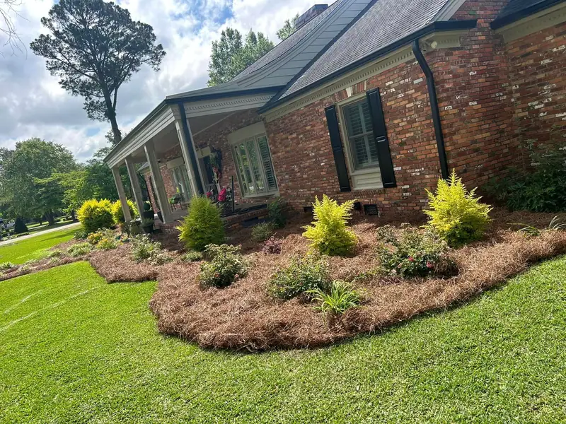 Fresh pine straw beds and shrubs along a brick ranch home