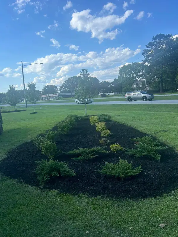 Island bed with fresh black mulch by the road