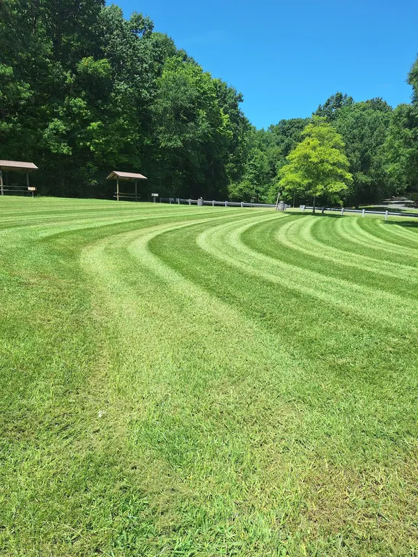 Fresh mowing stripes curving across a wide green lawn
